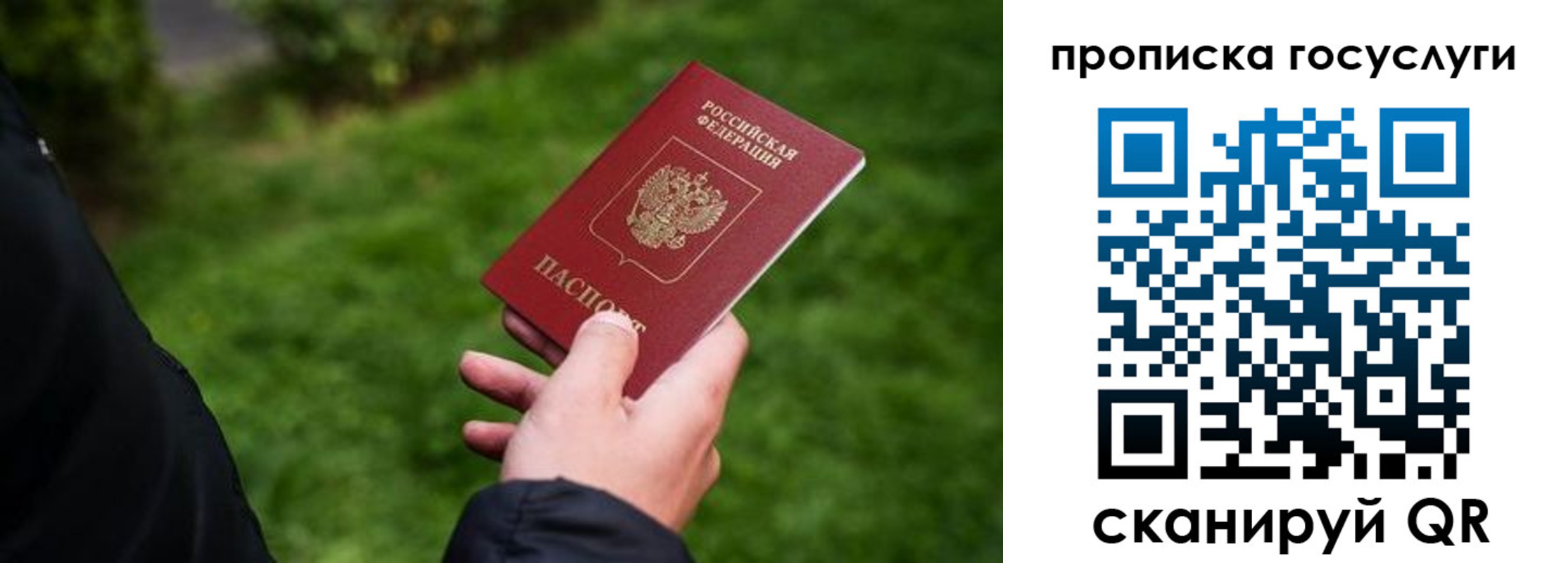 прописка для работы в Ярославской области
